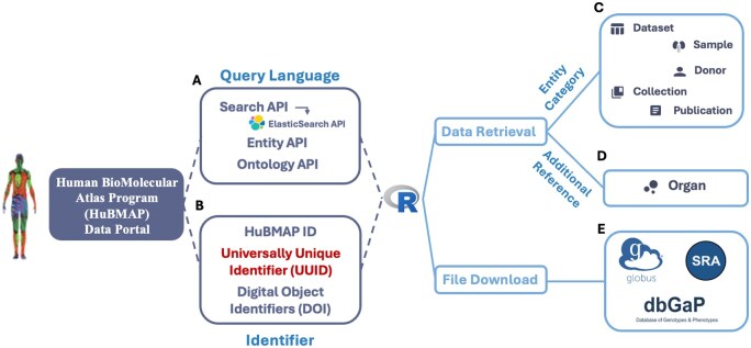 Figure 1.