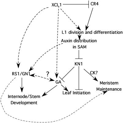 Figure 9.