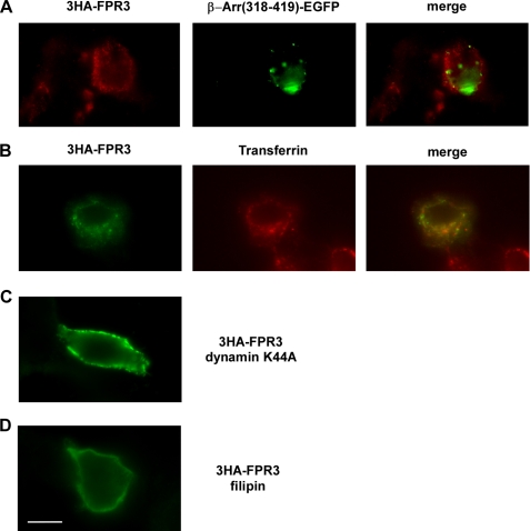 FIGURE 10.