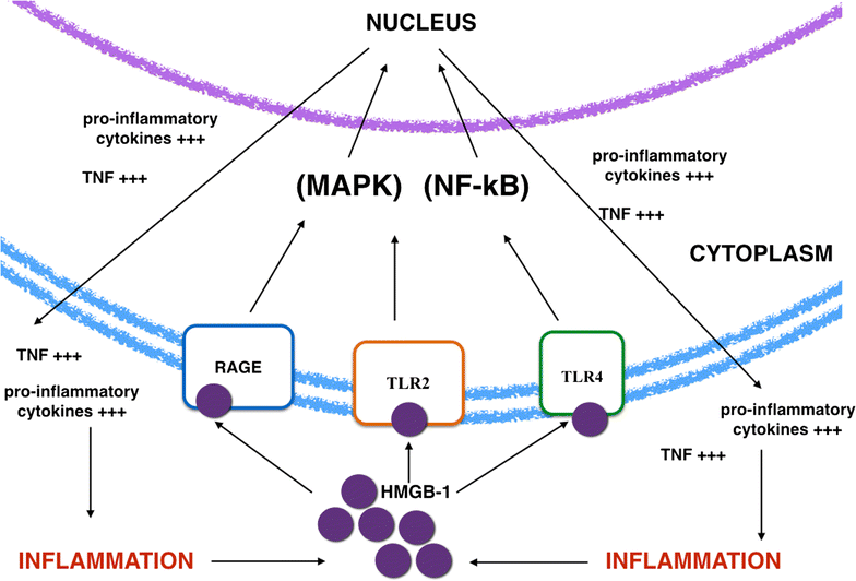 Fig. 1