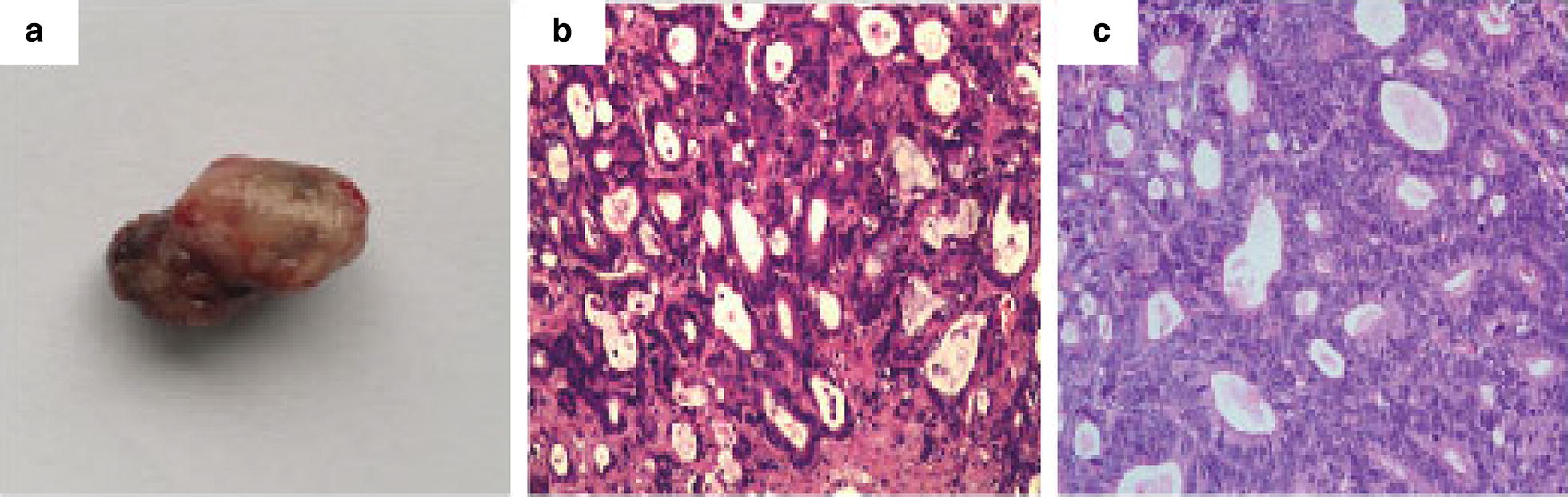 Fig. 4