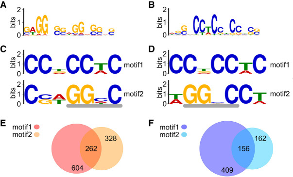 FIGURE 4.