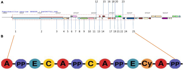 FIGURE 4