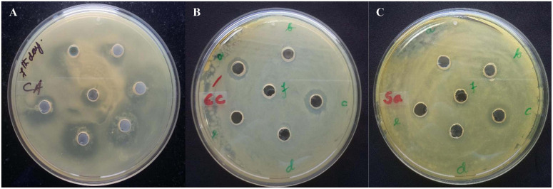 FIGURE 3