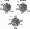 FIG. 4