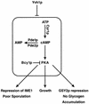 FIG. 10