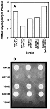 FIG. 6