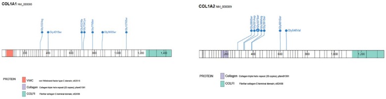 Fig 5