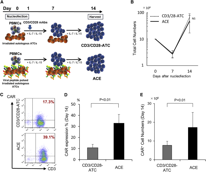 Figure 2