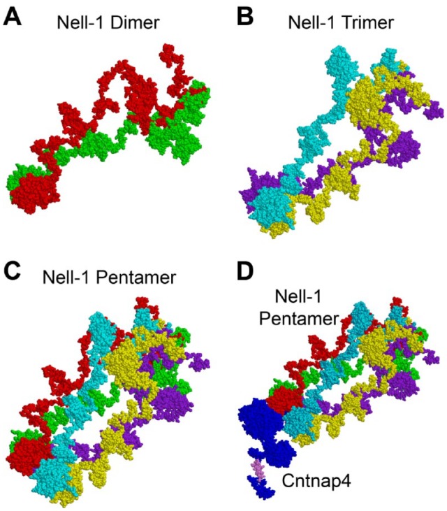 Figure 2.