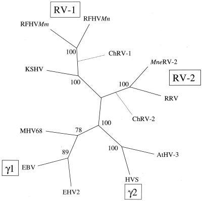 FIG. 5