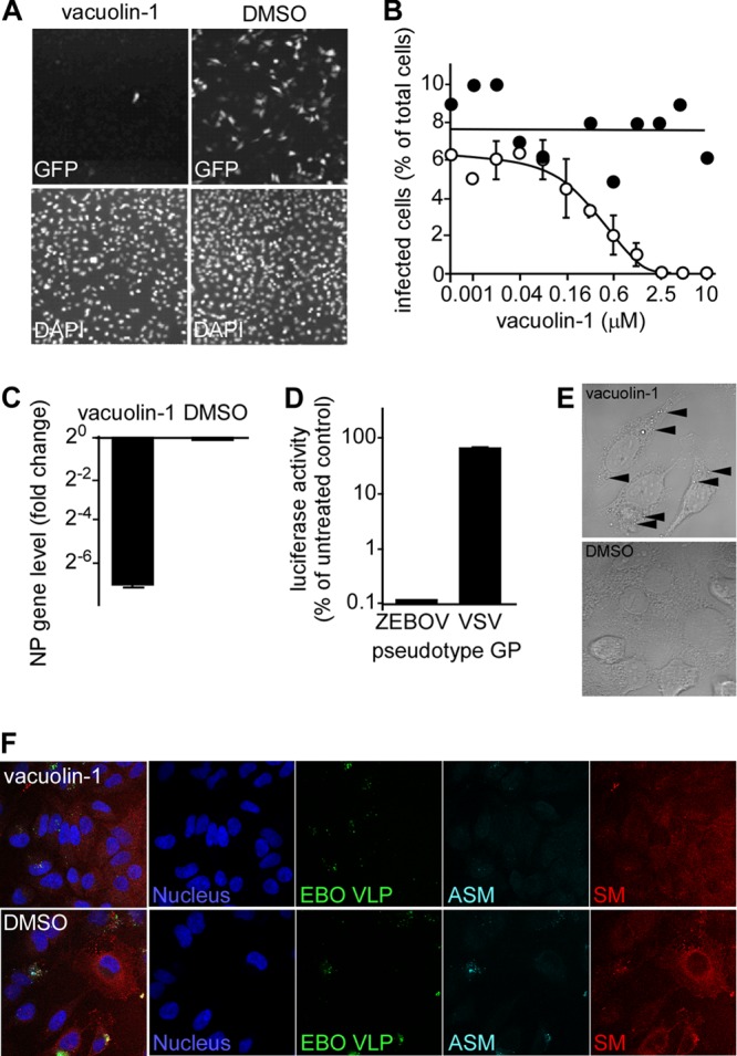 Fig 6