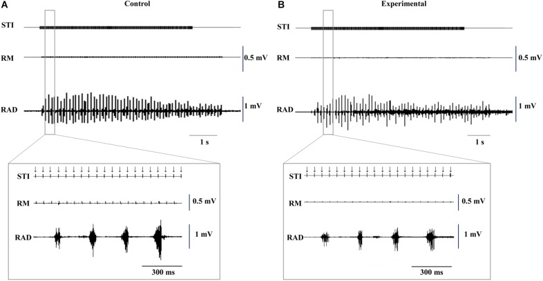 FIGURE 3