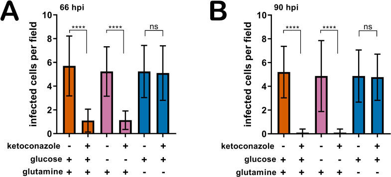 Figure 1—figure supplement 3.