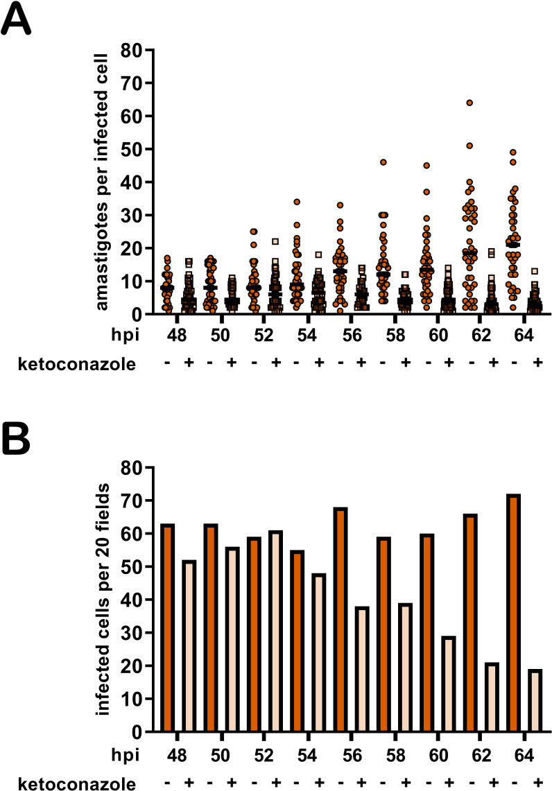 Figure 2—figure supplement 1.