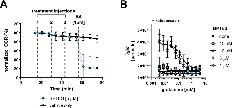 Figure 3—figure supplement 1.