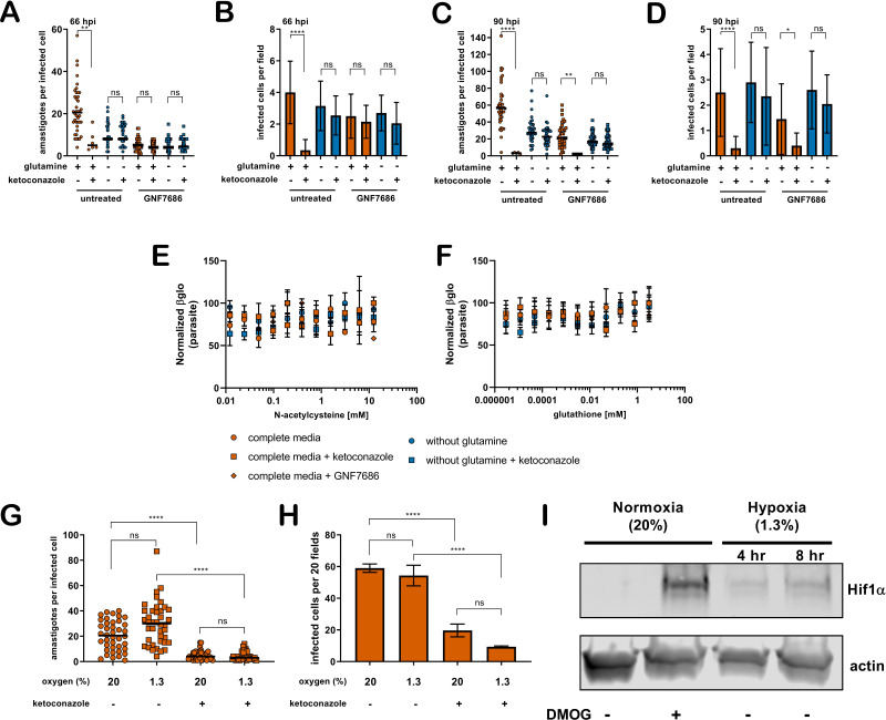 Figure 1—figure supplement 5.