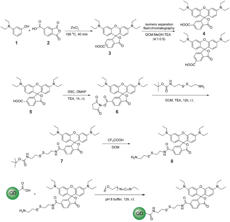 Scheme 2