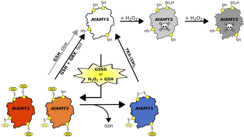 FIGURE 6