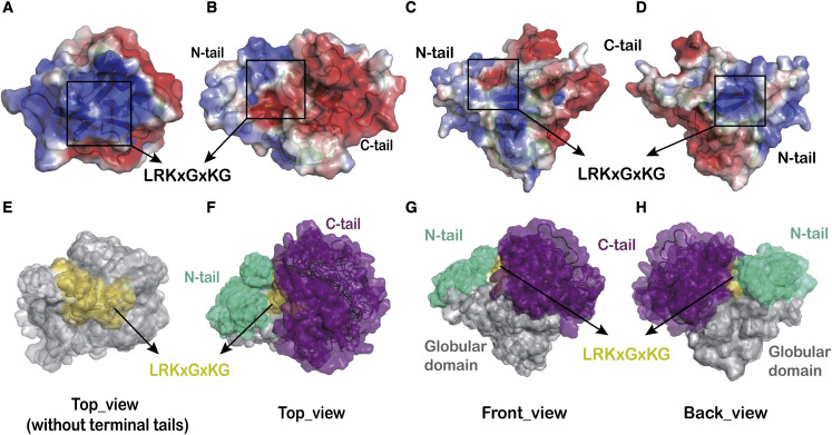 Figure 3