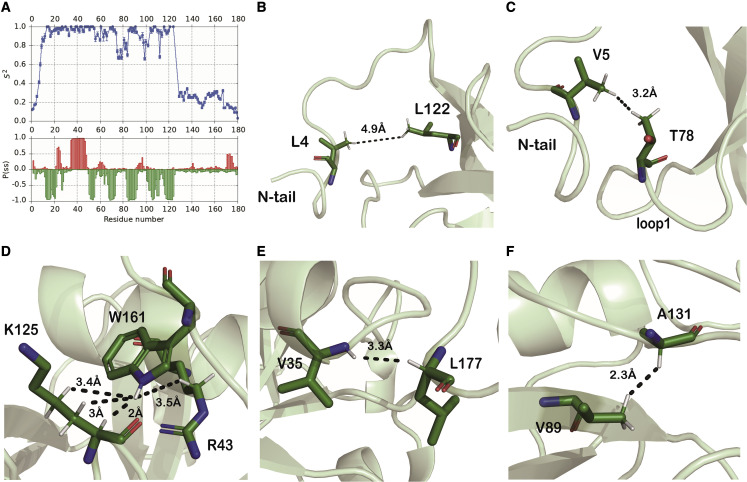 Figure 2