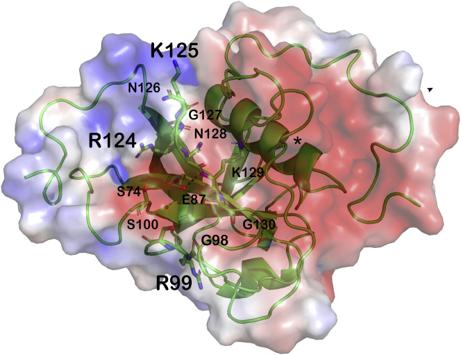 Figure 4