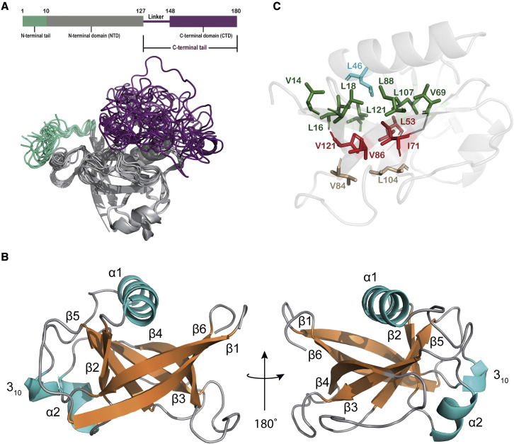 Figure 1