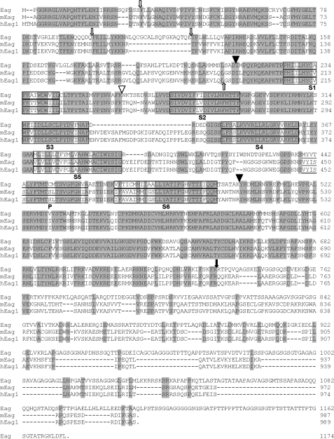 FIGURE 4.