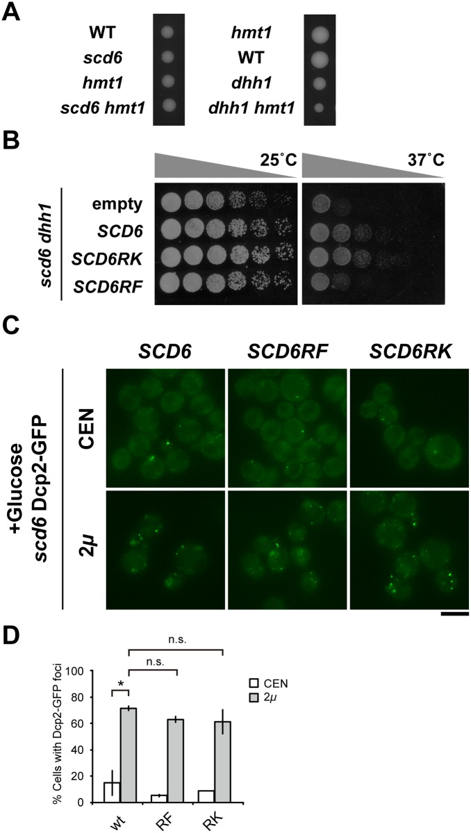 Fig 6