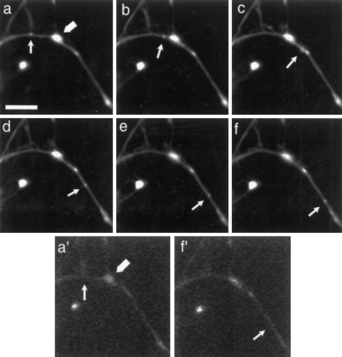 Fig. 5.