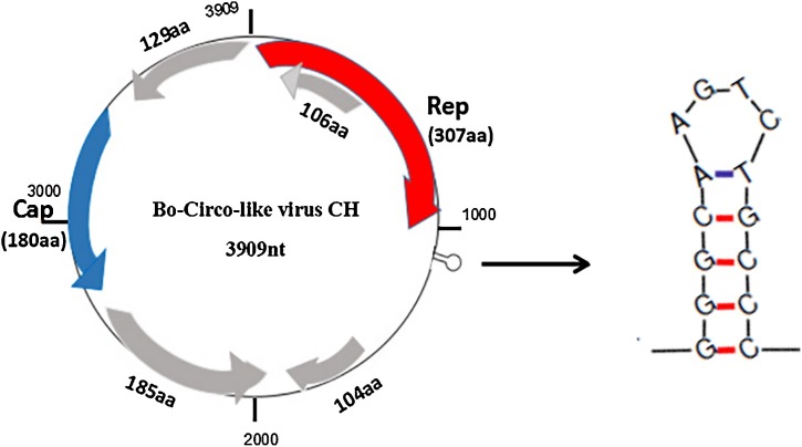 Fig. 2