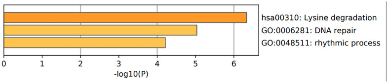 Figure 10