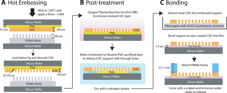 Figure 2: