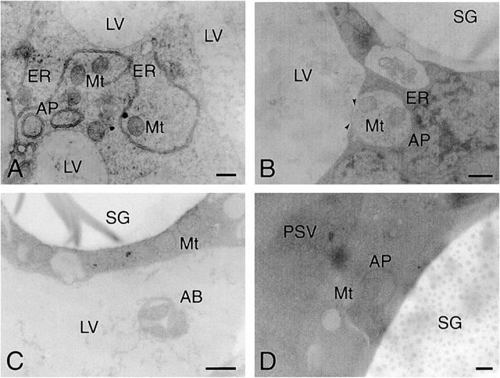 Figure 6.