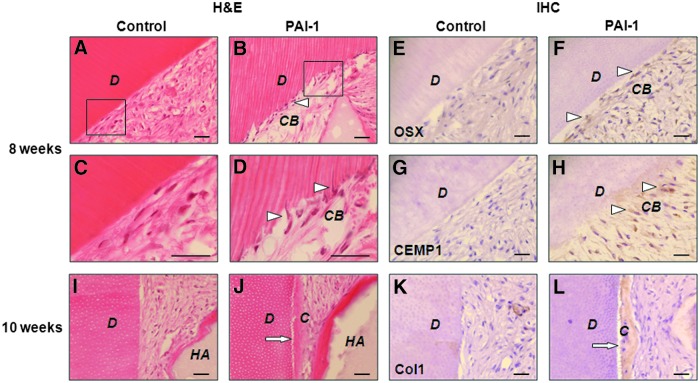 FIG. 6.