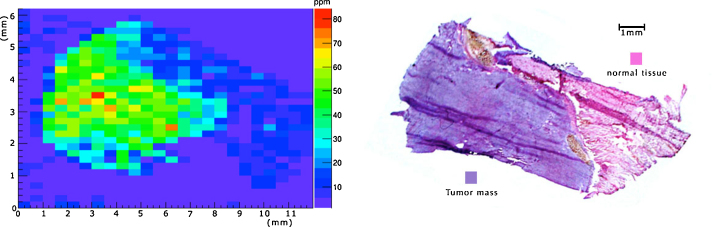 Fig. 6