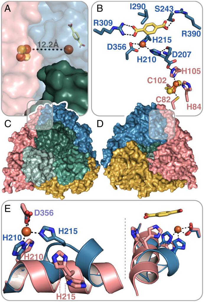 Fig. 4.