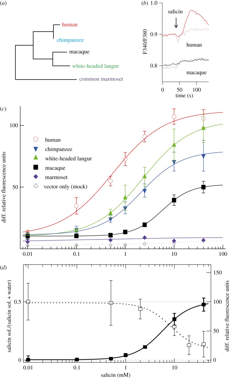 Figure 1.