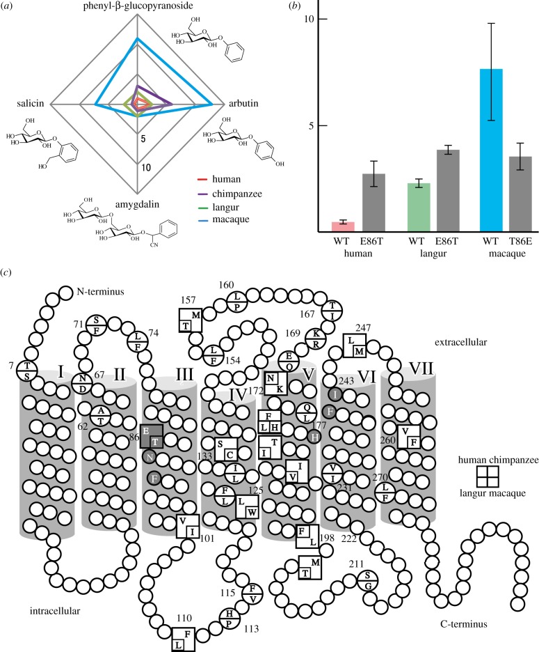 Figure 2.