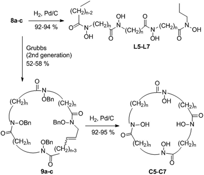 Scheme 3