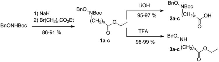 Scheme 1