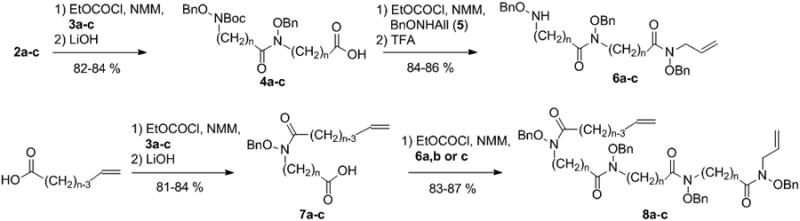 Scheme 2