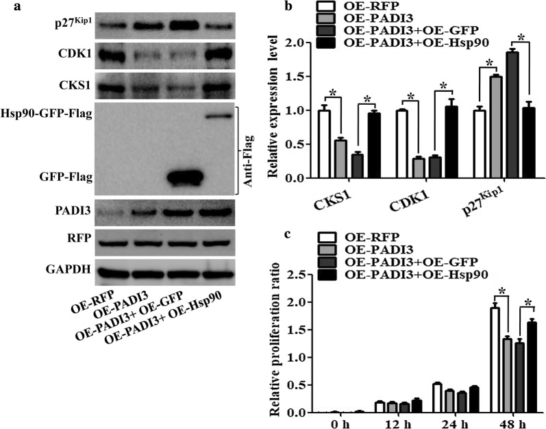 Fig. 6