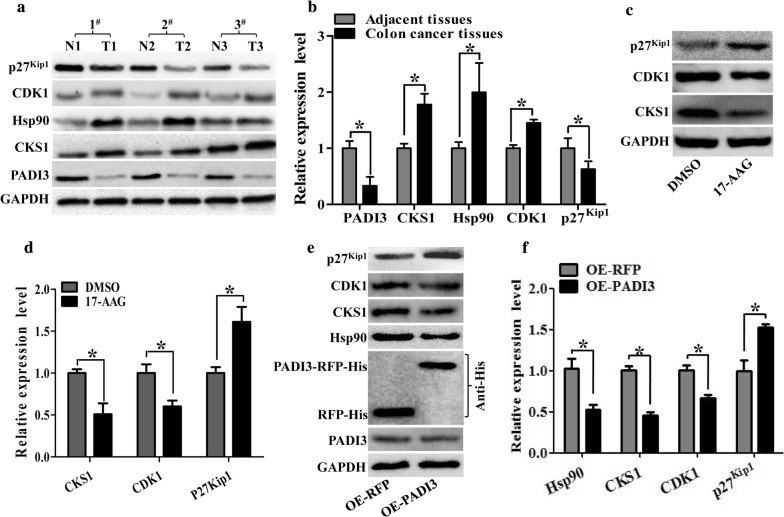 Fig. 4