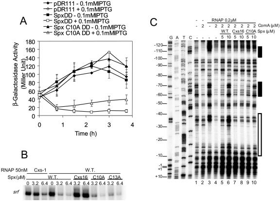 FIG. 7.