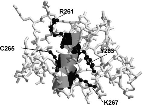 FIG. 8.