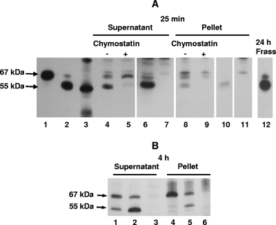 FIG. 4.