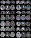 Fig. 9
