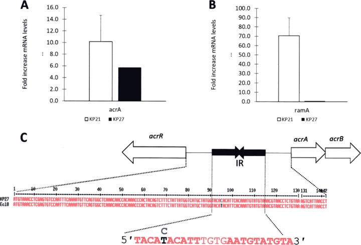 FIG 2