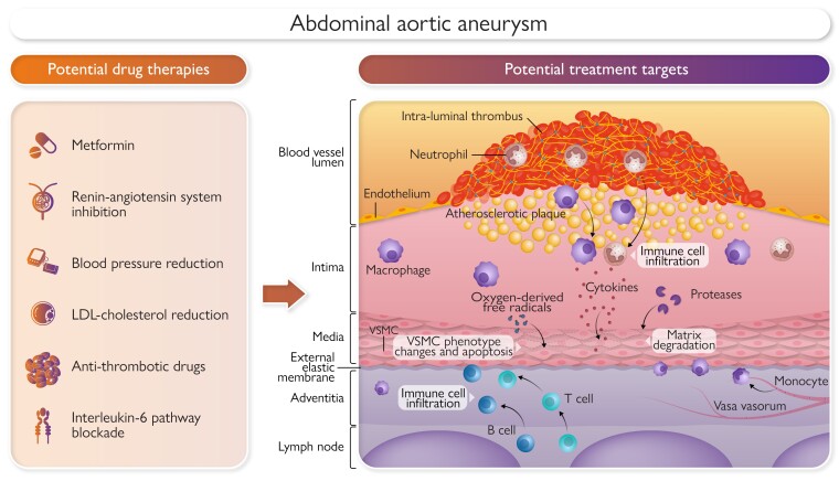 Graphical Abstract